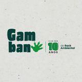 Gambano e os Aventureiros Ambientais