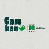 Gambano e os Aventureiros Ambientais
