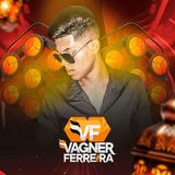 Vagner Ferreira