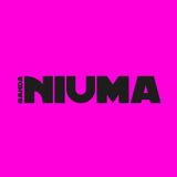 Banda Niuma