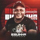 BIGUINHO SENSACAO - OFICIAL