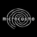 Microcosmo