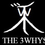 3 Whys