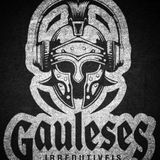 GAULESES IRREDUTÍVEIS