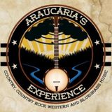Foto de Araucária's Experience
