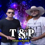 Timão e Pumba