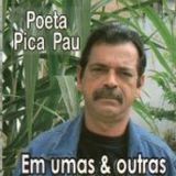 Poeta Pica Pau