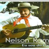 Nelson Ramos