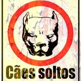 Cães Soltos