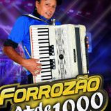 Forrozão A Mais D1000