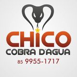 CHICO COBRA DÁGUA