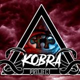 Kobra Project