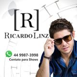 ricardo linz