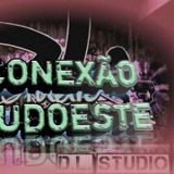 Conexão Sudoeste D.L Studio G.o