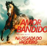 Forrozão Amor Bandido