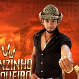 Vanzinho Vaqueiro