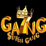 Seven Gang