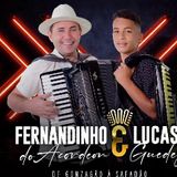 Fernandinho E Lucas