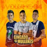 Forró Gingado dos Mullekes