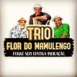 Trio Flor do Mamulengo