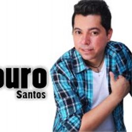 Imagem de LOURO SANTOS