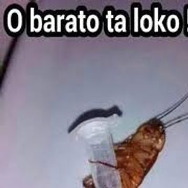 Imagem de ApóKa