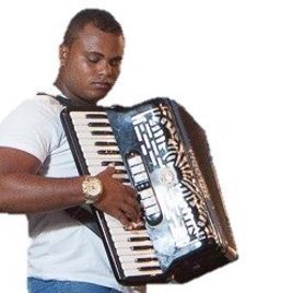 Imagem de Paulinho do Acordeon 