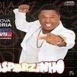 Imagem de Neto Gaspazinho