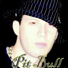 Imagem de Pit Bull