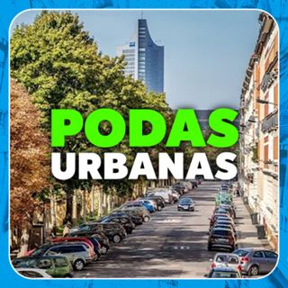 Podas urbanas: ¿para qué sirven? - Economía Directa/Radioactividad