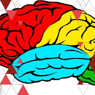 Neurodivergence at the University | philosopher Léon de Bruin and student Juliana Waloschek