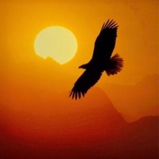Episode 446 - On the Wings of Myth