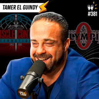 TAMER EL GUINDY - Flow #381