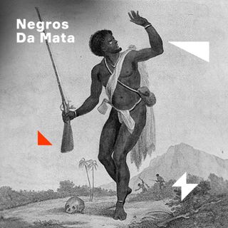 Palmares | 1. Negros da mata