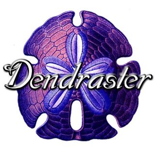 Imagen del artista Dendraster