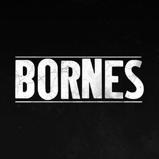 Imagen del artista Bornes