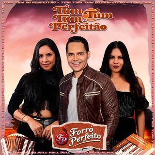 Imagen del artista Forró Perfeito