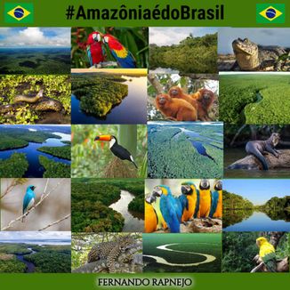 Foto da capa: Amazônia é do Brasil - Fernando Rapnejo