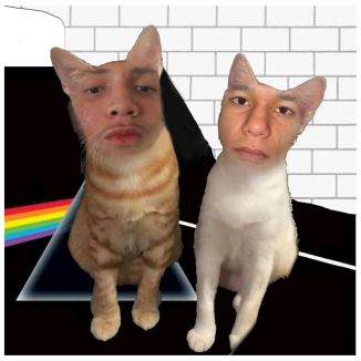 Foto da capa: Another Gato in the Wall