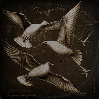 Foto da capa: Seagulls