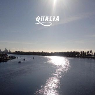 Foto da capa: Qualia