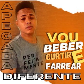 Foto da capa: Vou Beber Curtir E Farrear