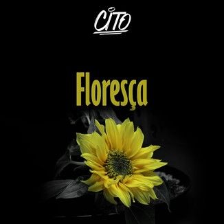 Foto da capa: Floresça