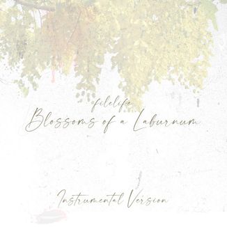 Foto da capa: Blossoms of a Laburnum (Instrumental)