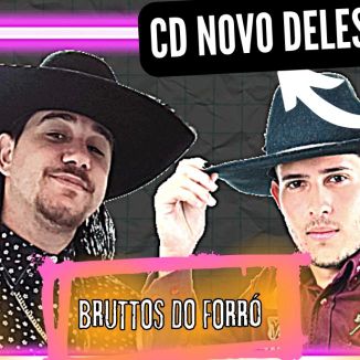 Foto da capa: BRUTTOS DO FORRÓ  Vivo Show