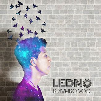 Foto da capa: Primeiro Vôo