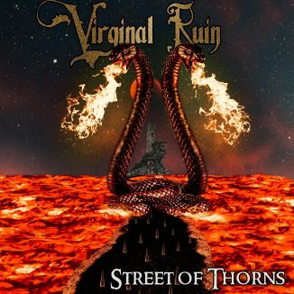 Foto da capa: Street Of Thorns