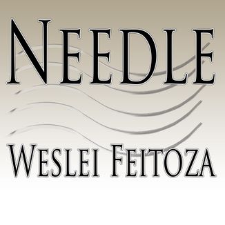 Foto da capa: Needle