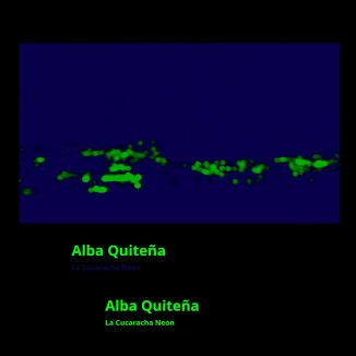 Foto da capa: Alba Quiteña