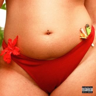 Foto da capa: Telhado Vermelho
